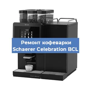 Ремонт капучинатора на кофемашине Schaerer Celebration BCL в Краснодаре